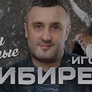 Кибирев Ночи Белые