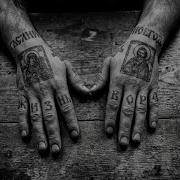 Zek47 Золотая Клетка