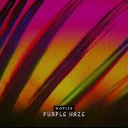 Purple Haze Notize
