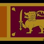 Sinhala Moana Shiny