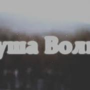 Верность Волка