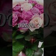 Цветы Для Вас