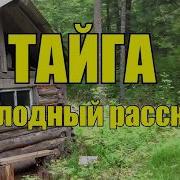 Каляныч Тайга