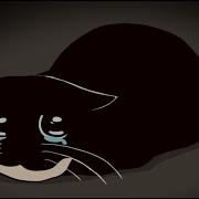 Maxwell Cat Song Tiktok