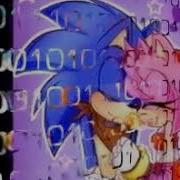 Amy Rose Tribute