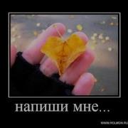 Леча Мусаев По Дону