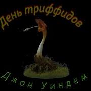 Аудиокнига День Триффидов
