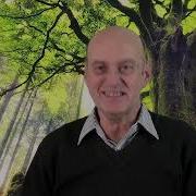 Обратная Сторона Зеркала