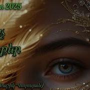 New Version Project Пашик Погосян