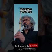 Скачать Песню Ornaments Guru