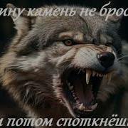 В Спину Камень Не Кидай