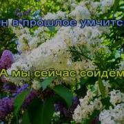 Белая Сирень Караоке Минус