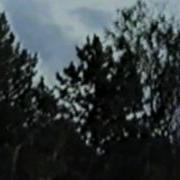 Дадахон Хасанов Барно