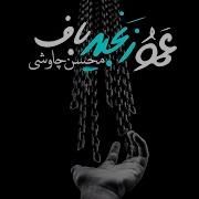 Мохсен Чавоши Аму Занчир