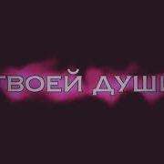 Музыка Твоей Души