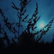 Ночь Тишина Гефсимания