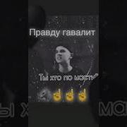 Ах Вы Шакалы Дырявые