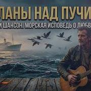 Бакланы Над Пучиною