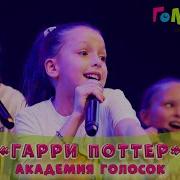 Академия Голосок Гарри Поттер