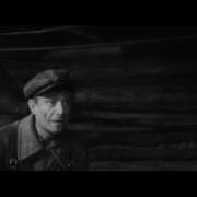 Андрюха Ты Тута