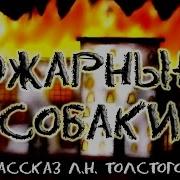 Пожарные Собаки