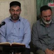 Тулки На Даргинском Языке
