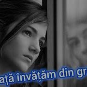 In Viata Invatam Din Greseli