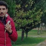 Qemli Seyirler 2021