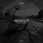 Dezzout Stars