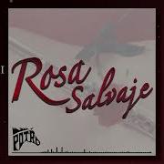 Rosa Salvaje Instrumental