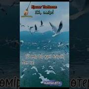 Қайрат Үмбетов Ей Өмір