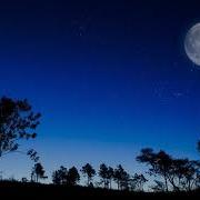 Мулк Сураси Кироат