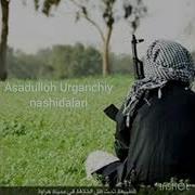 Улим Асадуллох