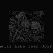 Nirvana Sped