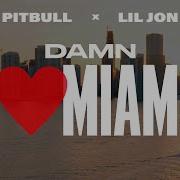 Pitbull Miami