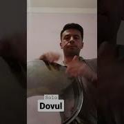 Dovul