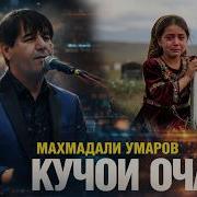 Маҳмадали Умар 2026