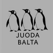 Mixerdj Juoda Balta