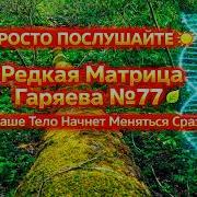 Матрица Гараяева