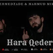 Ferid Ehmedzade 2024