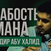 Надир Абу Халид