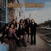 Lynyrd Skynyrd Free Bird