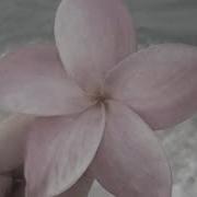 Саблиминал На Узкие Плечи