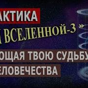 Полина Сухова