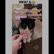 Что Ты Мне Такое Суешь