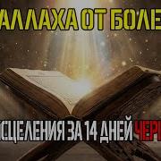 Исцеление От Аллаха