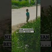 Nima Qlyapsan Baring Berda