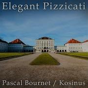 Delicate Pizzicato
