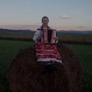 Горбунова София Ромашка Белая