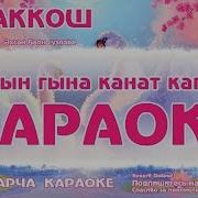 Ике Аккош